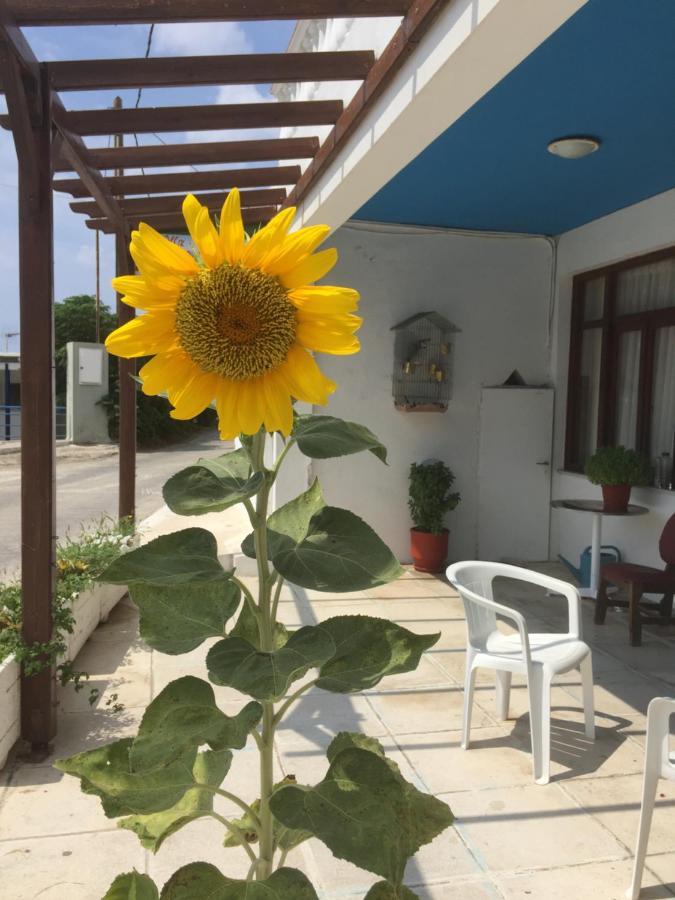 Villa Bonatsa Andros Home Batsíon Exteriör bild